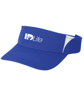 Dry Zone Visor